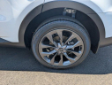 Thumbnail image of 2023 Kia Sorento at WestPalmBeachKia-New of West Palm Beach, FL