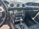 Thumbnail image of 2015 Ford Mustang at Cape Coral Chrysler Dodge Jeep Ram