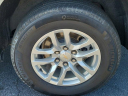 Thumbnail image of 2023 Chevrolet Tahoe at VictoryLayneChevrolet of Ft. Myers, FL