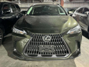 Thumbnail image of 2023 Lexus NX 350 at Lexus of Freeport