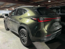 Thumbnail image of 2023 Lexus NX 350 at Lexus of Freeport