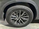 Thumbnail image of 2023 Lexus NX 350 at Lexus of Freeport