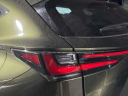Thumbnail image of 2023 Lexus NX 350 at Lexus of Freeport