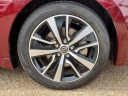 Thumbnail image of 2021 Nissan Maxima at Frank Brown Honda GMC
