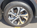 Thumbnail image of 2022 Subaru Outback at Maxon Hyundai Inc.