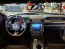 Thumbnail image of 2021 Ford Mustang at Cooper Ford