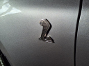 Thumbnail image of 2021 Ford Mustang at Cooper Ford