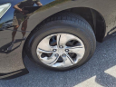 Thumbnail image of 2014 Honda Civic at Gallatin Honda