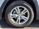 Thumbnail image of 2024 GMC Terrain at Koons Automotive Of Culpeper