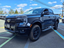 Thumbnail image of 2025 Ford Ranger at Liccardi Ford Inc