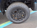 Thumbnail image of 2025 Ford Ranger at Liccardi Ford Inc