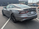 Thumbnail image of 2023 Nissan Maxima at Ciocca Nissan of Quakertown - NEW