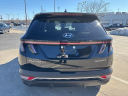 Thumbnail image of 2024 Hyundai TUCSON Hybrid at Hatchett Hyundai West