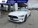 Thumbnail image of 2022 Ford Mustang at Town & Country Ford
