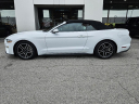 Thumbnail image of 2022 Ford Mustang at Town & Country Ford