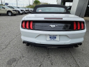 Thumbnail image of 2022 Ford Mustang at Town & Country Ford