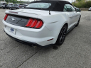Thumbnail image of 2022 Ford Mustang at Town & Country Ford