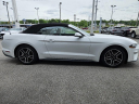 Thumbnail image of 2022 Ford Mustang at Town & Country Ford