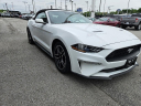 Thumbnail image of 2022 Ford Mustang at Town & Country Ford