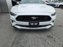 Thumbnail image of 2022 Ford Mustang at Town & Country Ford