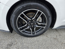 Thumbnail image of 2022 Ford Mustang at Town & Country Ford