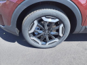 Thumbnail image of 2024 Kia Telluride at Lou Fusz Kia Of Terra Haute