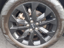 Thumbnail image of 2022 Kia Carnival at Generation Kia Buick Gmc