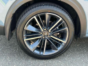 Thumbnail image of 2023 INFINITI QX55 at Infiniti of Lynbrook