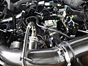 Thumbnail image of 2019 Ford F-150 at Elder Ford of Tampa
