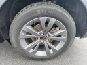 Thumbnail image of 2023 Ford Explorer at SpiritFordUsed of dundee, MI