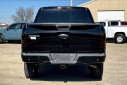 Thumbnail image of 2017 Ford F-150 at Mike Murphy Ford Inc. - New