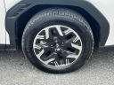 Thumbnail image of 2025 Subaru Forester at North Coast Subaru