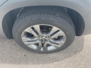 Thumbnail image of 2022 Kia Seltos at Al Serra Cadillac