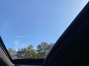 Thumbnail image of 2024 Lexus IS 350 at Capital Toyota