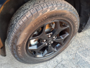 Thumbnail image of 2022 Ford Maverick at Mccarthy Ford