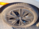 Thumbnail image of 2019 Honda Civic at Serra Buick Gmc Champaign