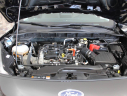 2022 Ford Escape SE at Bud & Doug Walters Auto Sales
