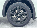 Thumbnail image of 2025 Volkswagen Atlas Cross Sport at Volkswagen World of Newton