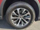 Thumbnail image of 2022 Lexus RX 350 at Kia of Cape Coral