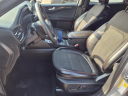 Thumbnail image of 2024 Ford Escape at Ken Stoepel Ford