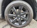 2025 Honda Pilot Black Edition at Piazza Honda of Springfield NEW