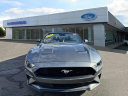 Thumbnail image of 2023 Ford Mustang at Riverhead Ford