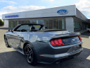Thumbnail image of 2023 Ford Mustang at Riverhead Ford