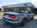 Thumbnail image of 2023 Ford Mustang at Riverhead Ford