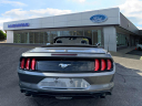 Thumbnail image of 2023 Ford Mustang at Riverhead Ford