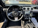 Thumbnail image of 2023 Ford Mustang at Riverhead Ford