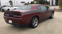 Thumbnail image of 2019 Dodge Challenger at Toyota of Hattiesburg NEW