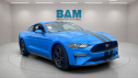 Thumbnail image of 2023 Ford Mustang at Bridgeton Auto Mall