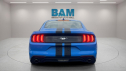 Thumbnail image of 2023 Ford Mustang at Bridgeton Auto Mall