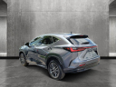 Thumbnail image of 2023 Lexus NX 250 at Mercedes-Benz of Cutler Bay